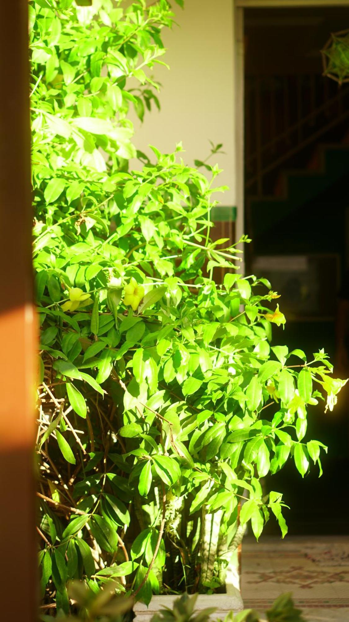 Poa Eco Hostel Porto Alegre Exteriér fotografie